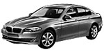 BMW F10 P339C Fault Code